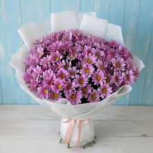 Букет цветов из:  Хризантемы в Кичменгском Городке