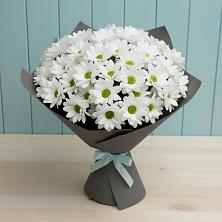 Букет цветов из:  Хризантемы в Кичменгском Городке