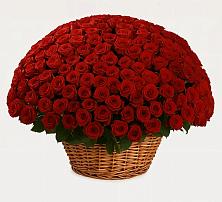 Премиум букет из: Розы в Кичменгском Городке